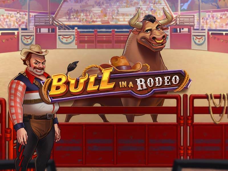 Bull in a Rodeo