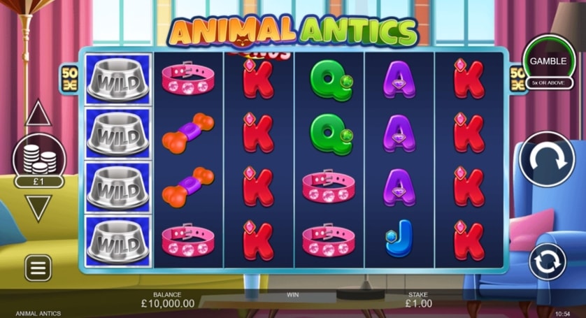 Pelaa nyt - Animal Antics