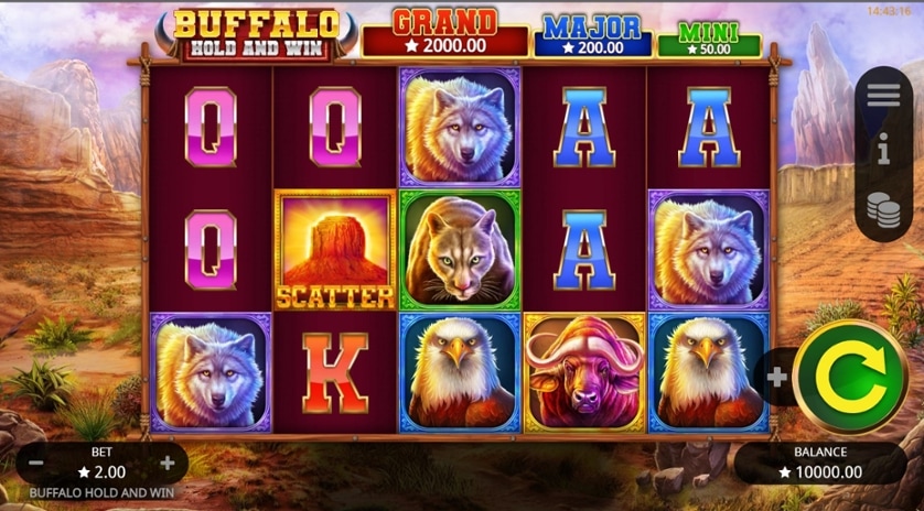Pelaa nyt - Buffalo Hold and Win