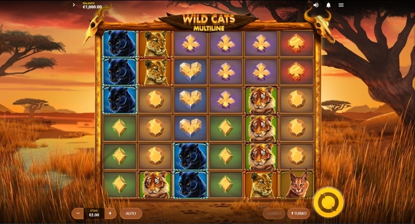 Pelaa nyt - Wild Cats Multiline