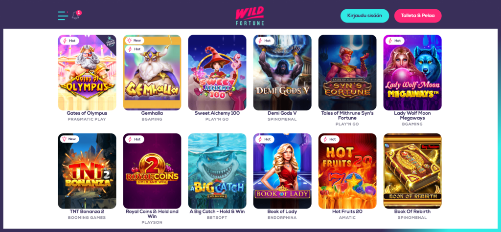 Wild Fortune Casino kolikkopelejä