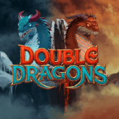 Double Dragons logo